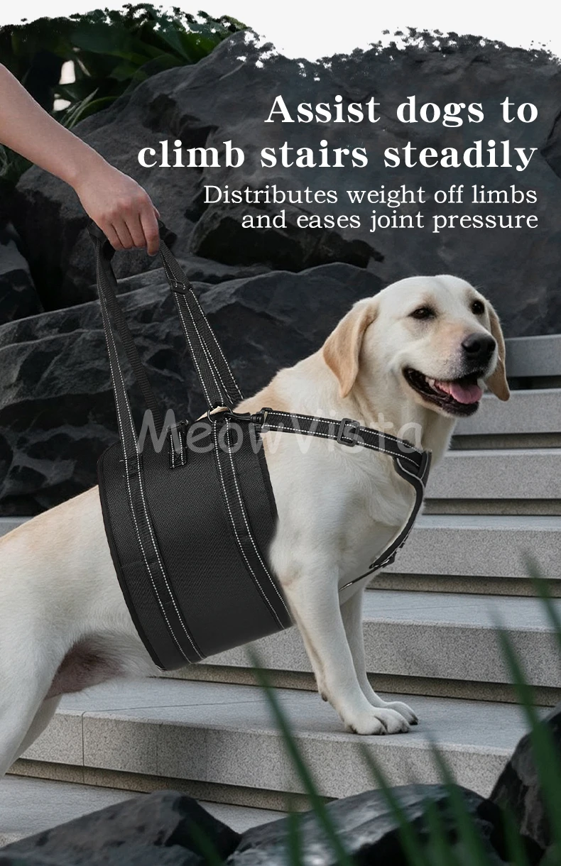 Dog Lift Harness Adjustable Reflective Rehabilitation Support Sling Mobility Aid for Old Injured Medium Large Dog Walking Assist
