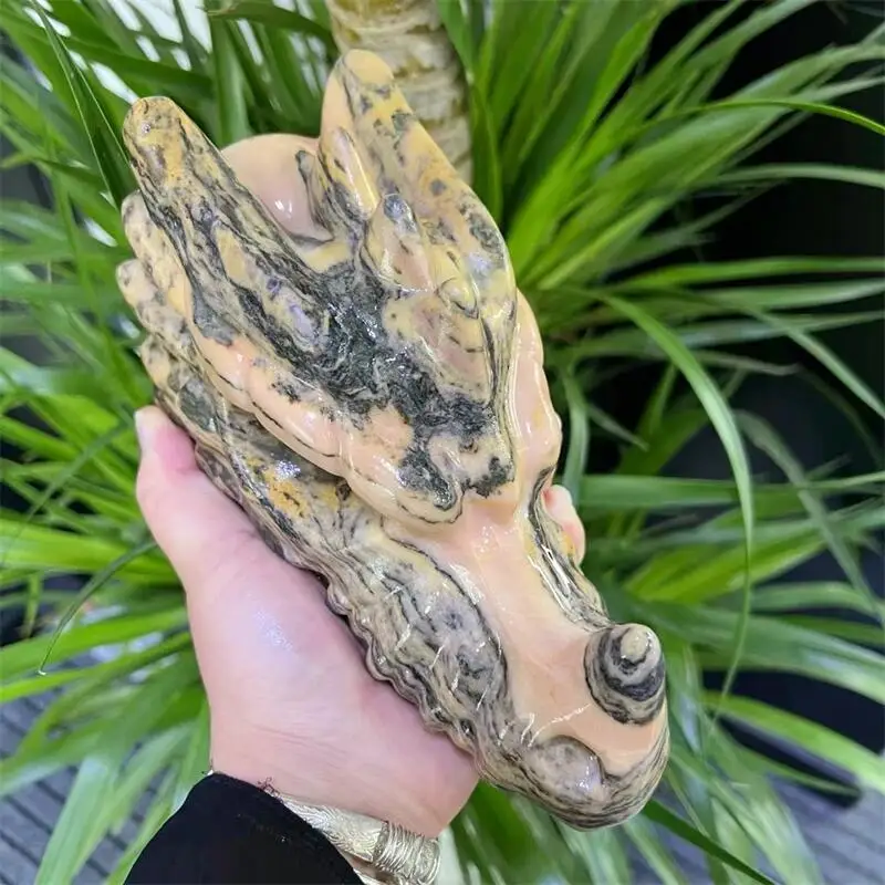 20CM Natural Tigerite Dragon Skull Carving Head Animal Statue Faucet For Room Decoration Holiday Gifts 1pcs