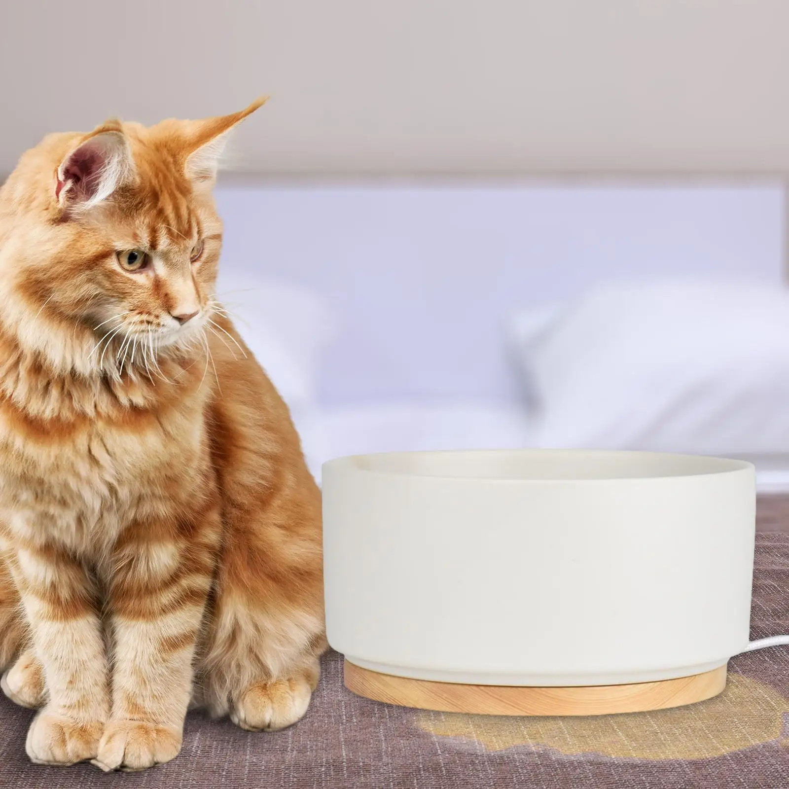 

Станция для кормления кошек, миска с подогревом для воды для уличных кошек, собак, кроликов, уток