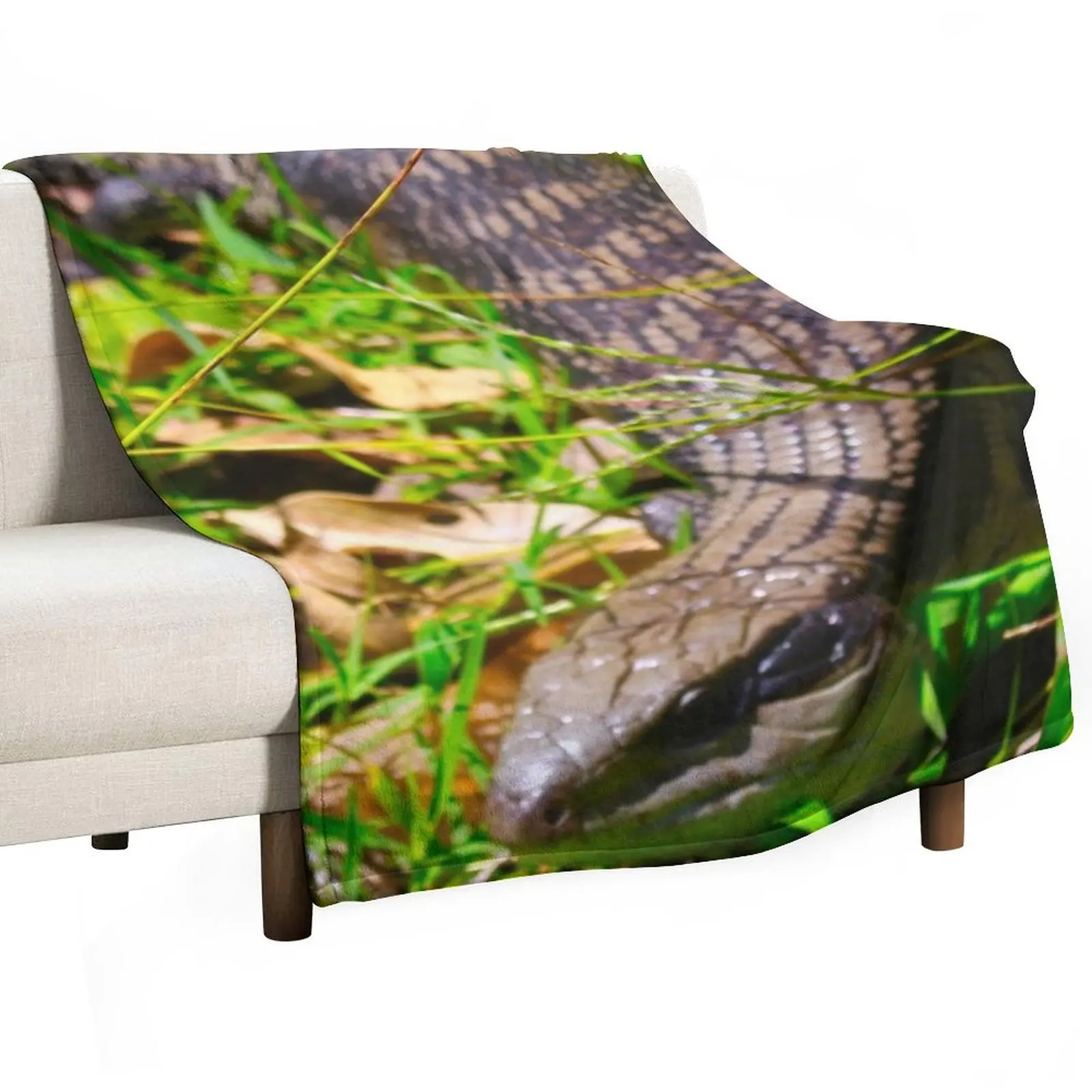 Blue Tongue Lizard in the Garden! Throw Blanket Baby Heavy Blankets For Bed Multi-Purpose Loose for winter Blankets