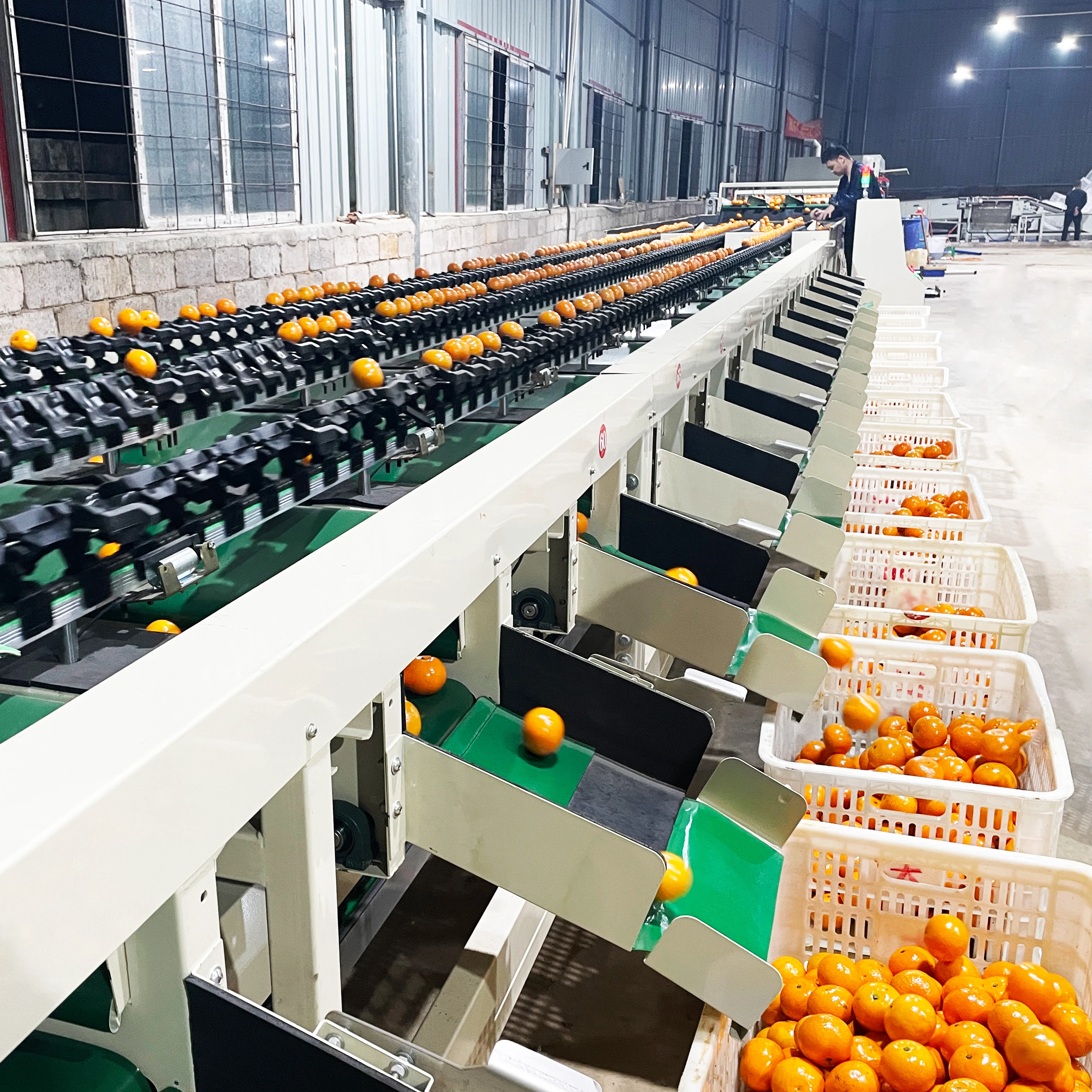 Selezionatrice multipista intelligente per agrumi di diametro medio di frutta Nucleo del motore dell'attrezzatura per macchine agricole