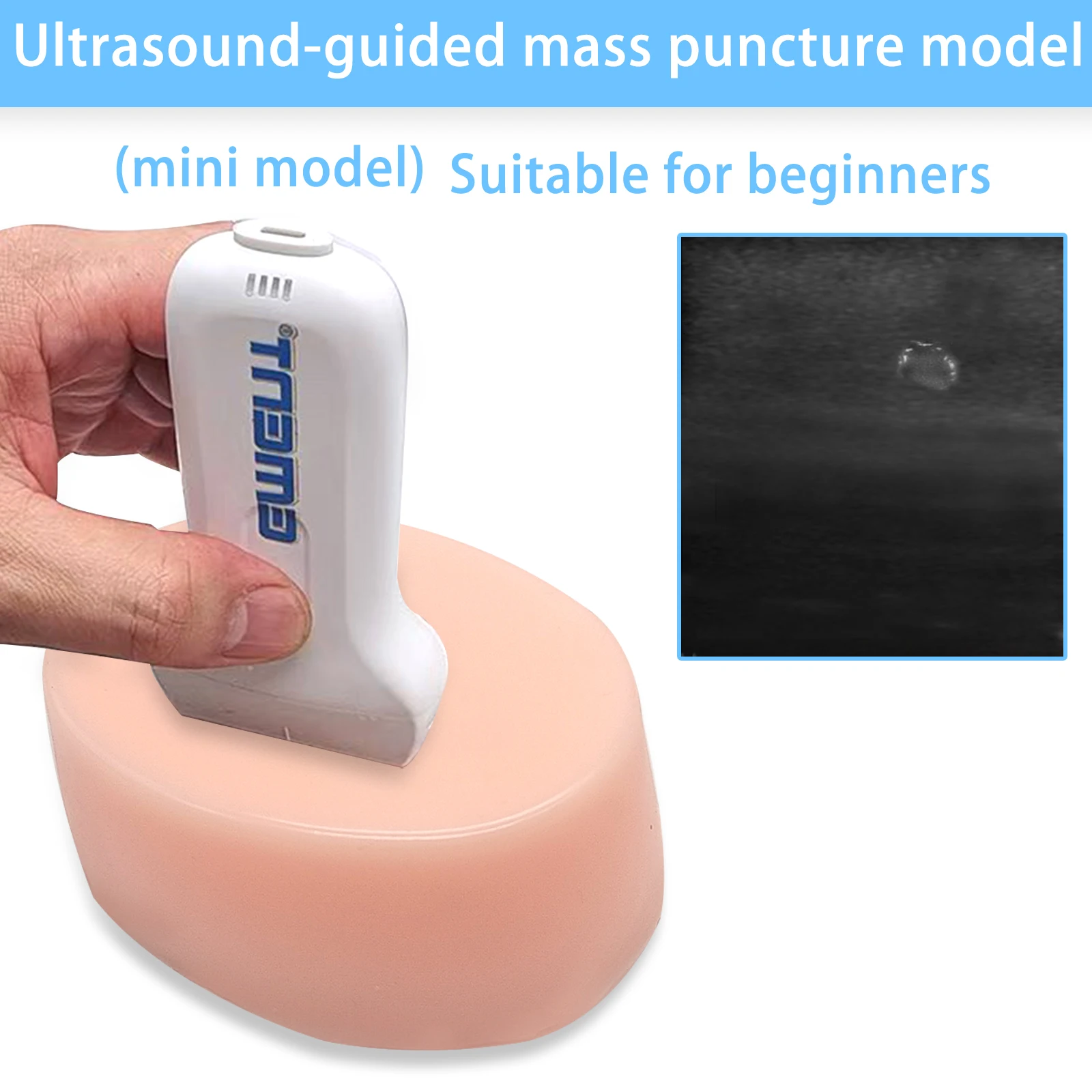 Ultrasound guided puncture phantom, tumor simulater for puncture ,medical beginner training education