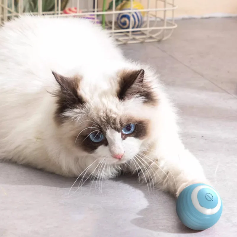 

Smart Cat Toys Automatic Rolling Ball Fake Tail Rechargeable Electric Pet Interactive Toy Dog Cat Training Imitate Mouse Tail Ca
