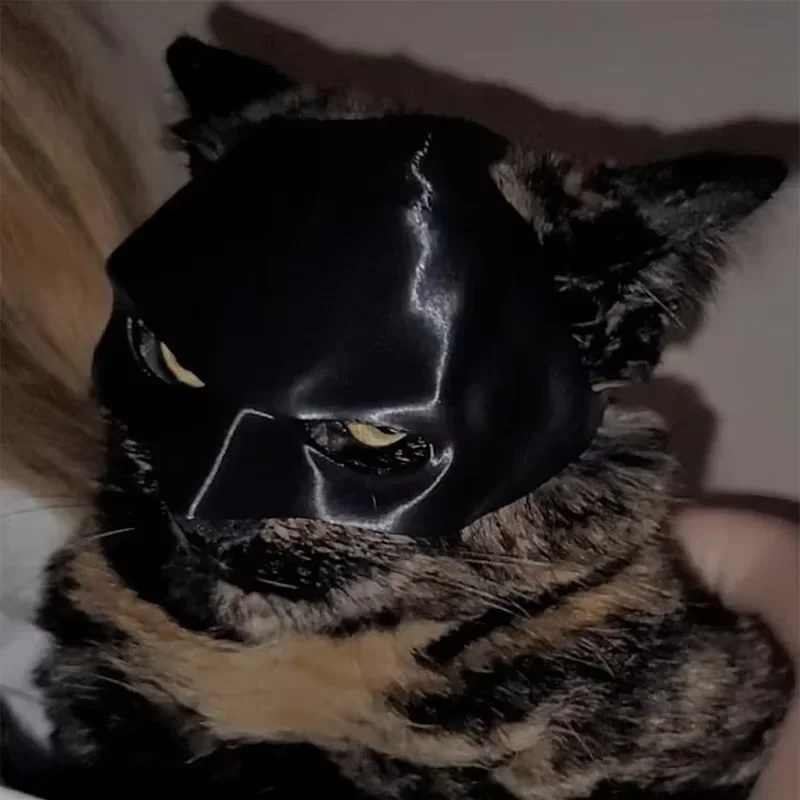 Máscara de vengador de gato de murciélago mate negro, juguete de superhéroe para mascotas para gatos y perros, maquillaje espeluznante, accesorio de disfraz de fiesta