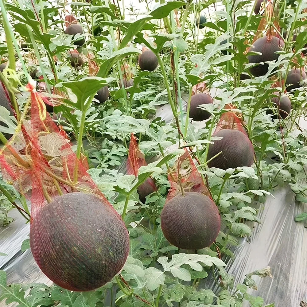100pcs, Watermelon Nets, Hanging Reusable Watermelon Nets Bags Melon Hammocks Cradles For Supporting Garden Growing Cantaloupes