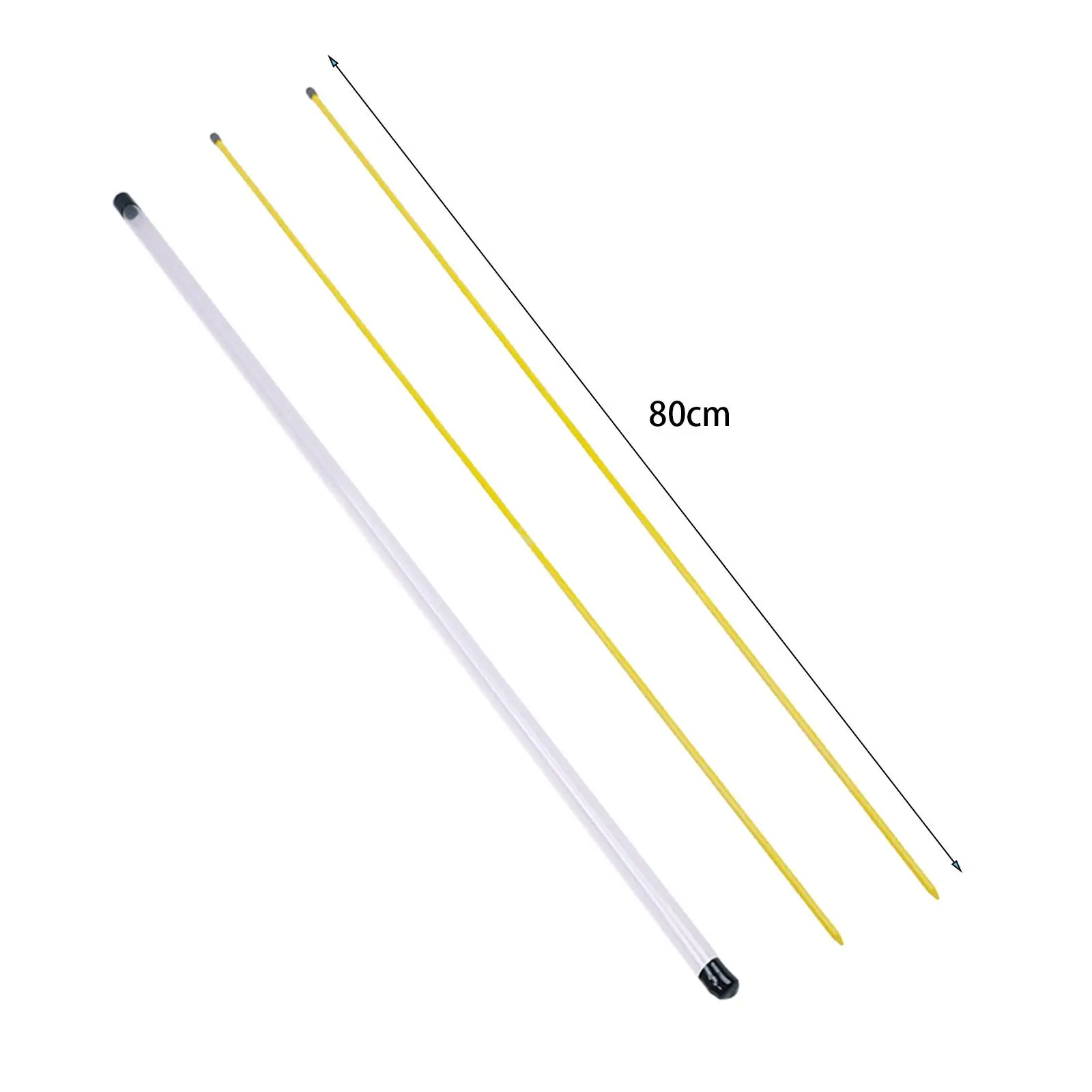 2Pcs Golf Alignment Sticks with Clear Tube Case, Golf Practice Rods for Swing Practice Putting