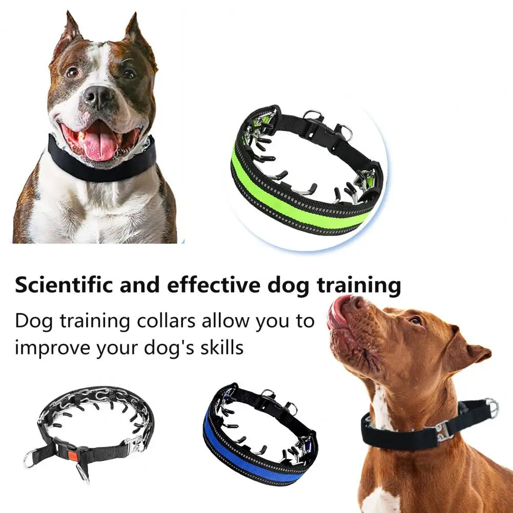 

Sturdy Metal D-ring Pet Collar Scientific Dog Training Collar Effective Safe Dog Training Collars for Small to Dogs with Quick