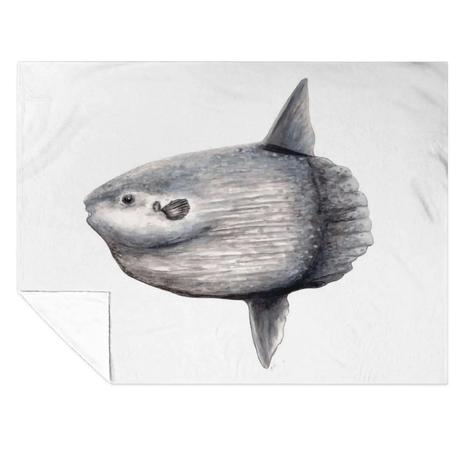

Ocean sunfish (Mola mola) Throw Blanket Sofa Throw Blankets For Bed Tourist Blankets Sofas Of Decoration Blankets