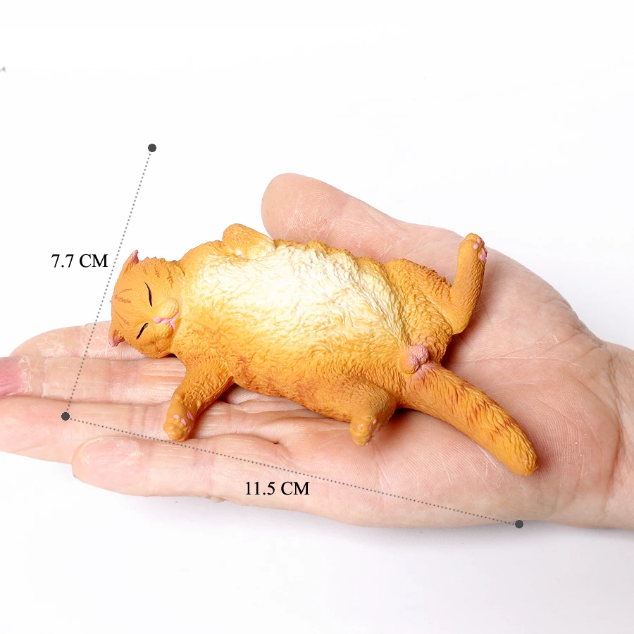 Cat -36