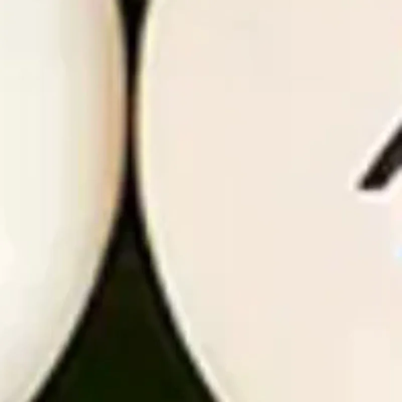 

10 шт. мячи для пинг-понга 40 мм ABS настольные тренировочные мячи профессиональные мячи для настольного тенниса TTF стандартный настольный теннис для соревнований