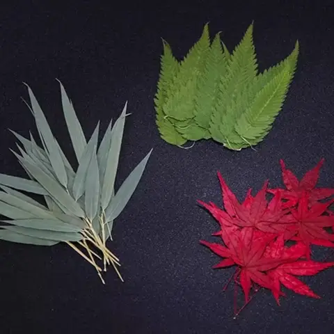 천연 진짜 말린 단풍잎, 버드나무 잎, 대나무 잎, 크리스마스 바웨어 만들기, 12 개 Best5