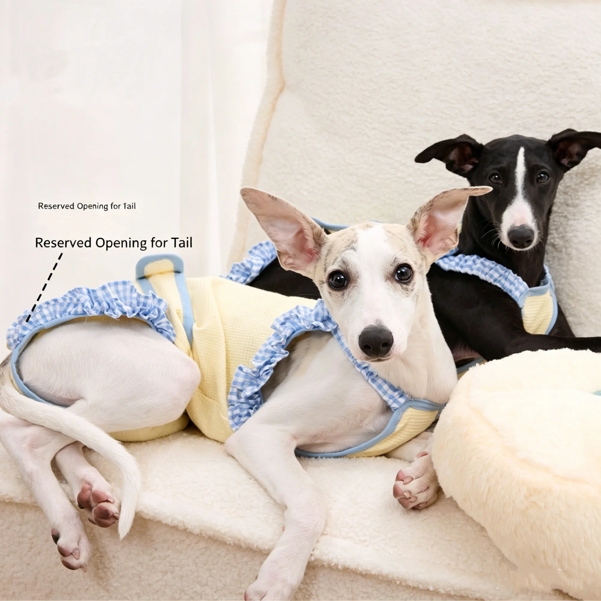 Pantalón sanitario suave para perras de galgo italiano, anti-estrés - imagen 4