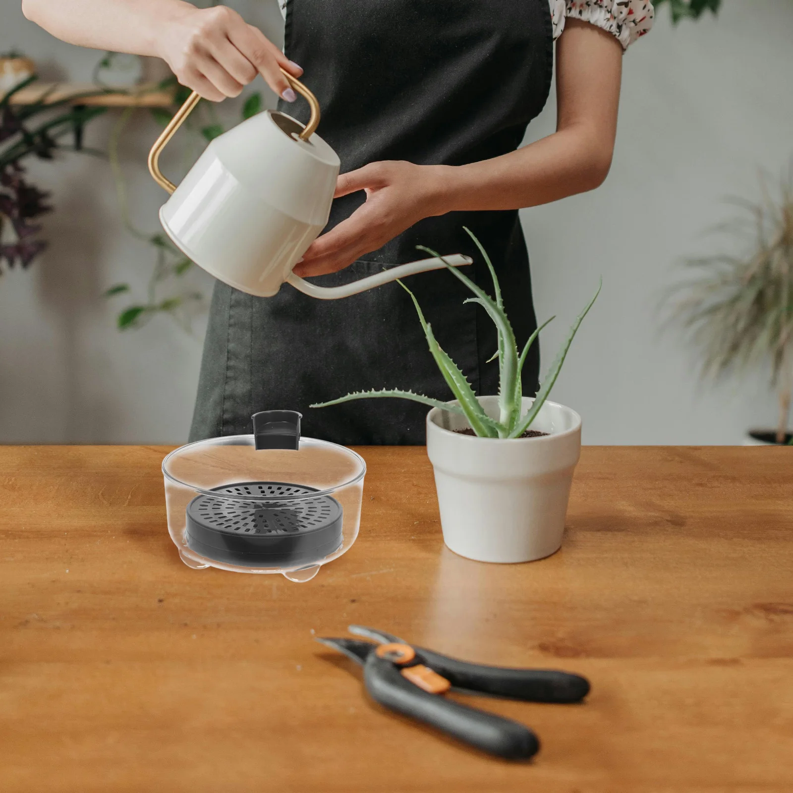 

Water Storage Tray Flower Pot Sun Catcher Clear Pots for Plants Square Indoor Drain Trays Drip Large