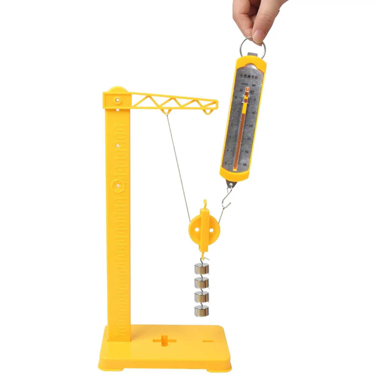 Fixed & Movable Pulley Physics Experiments Fixed and Movable Pulley Study Dynamometer Demonstration for Children School Class