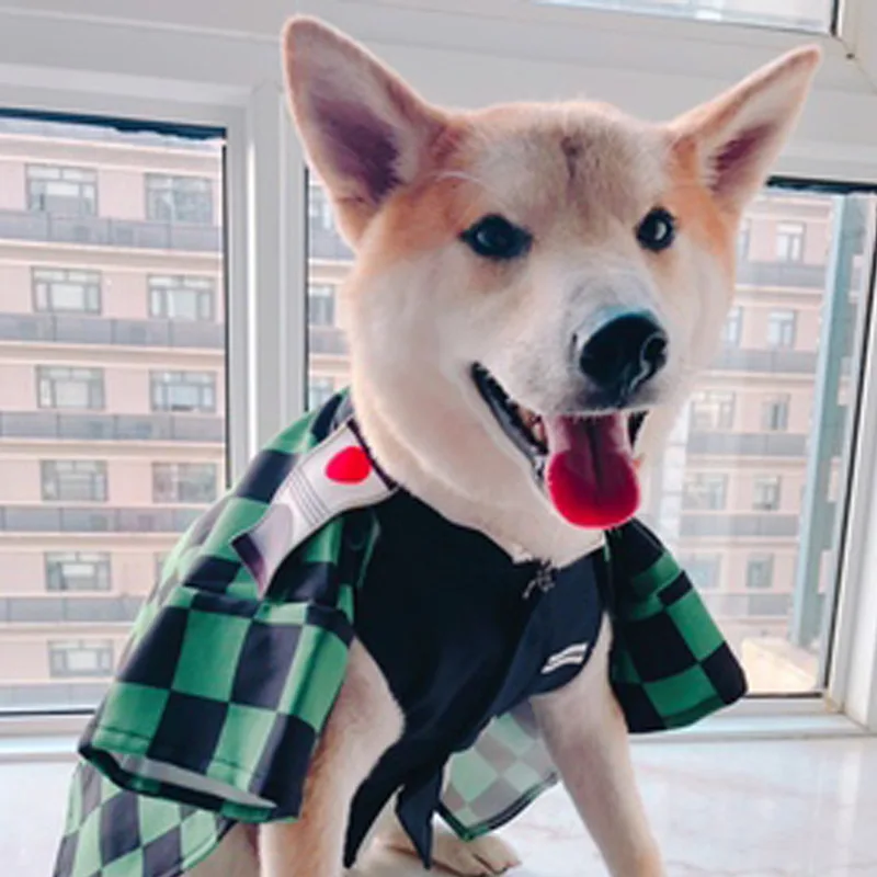 Anime japonés Demon Slay Kimetsu Yaiba gato y perro ropa para mascotas Cos Kochou Shinobu Nezuko Zouma Monzekoro Tomioka Giyuu