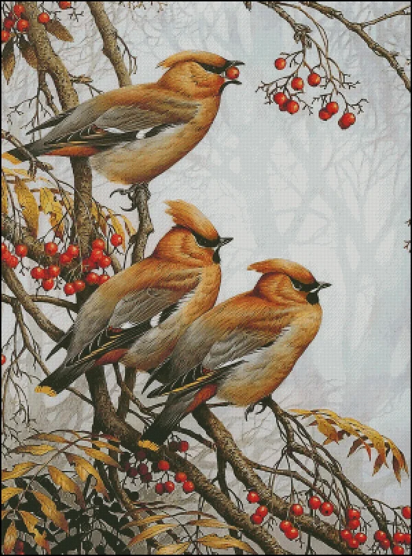 

DIY Embroidery Set, Cross Stitch Kit, DMC Threads, Craft Pattern, 75- Three Little Birds 64-83