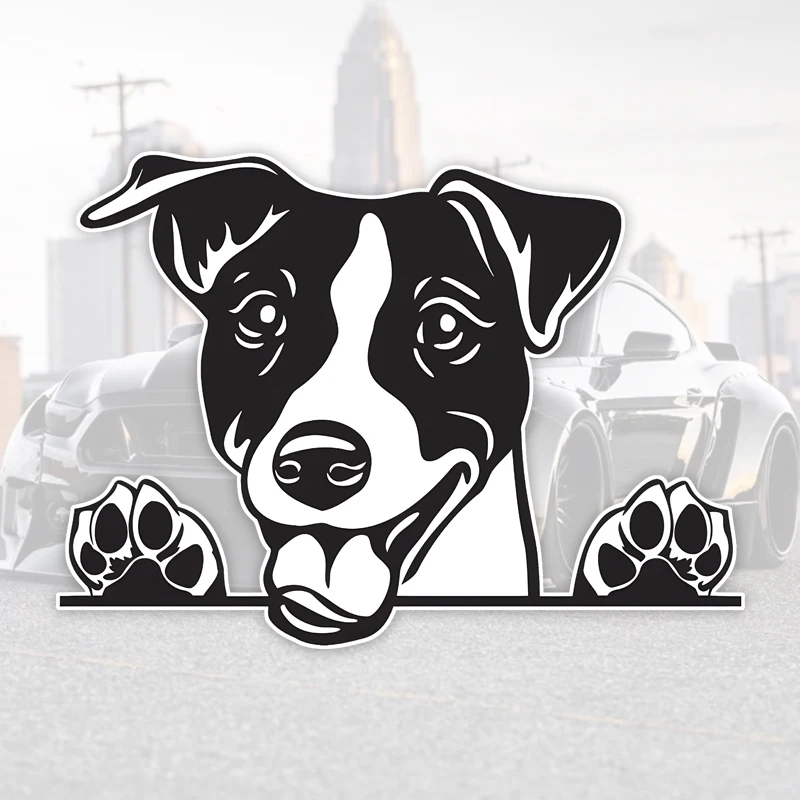 DK174# 15x11cm Peeking Jack Russell Terrier Car Stickers Waterproof Vinyl Decal For Truck Motorcycle Scooter Auto Accessories