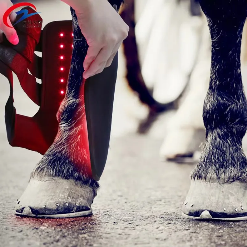 2026 Infrared Therapy System for Equine Podiatry Veterinary Therapeutic Equipment Animal Care and Supplies