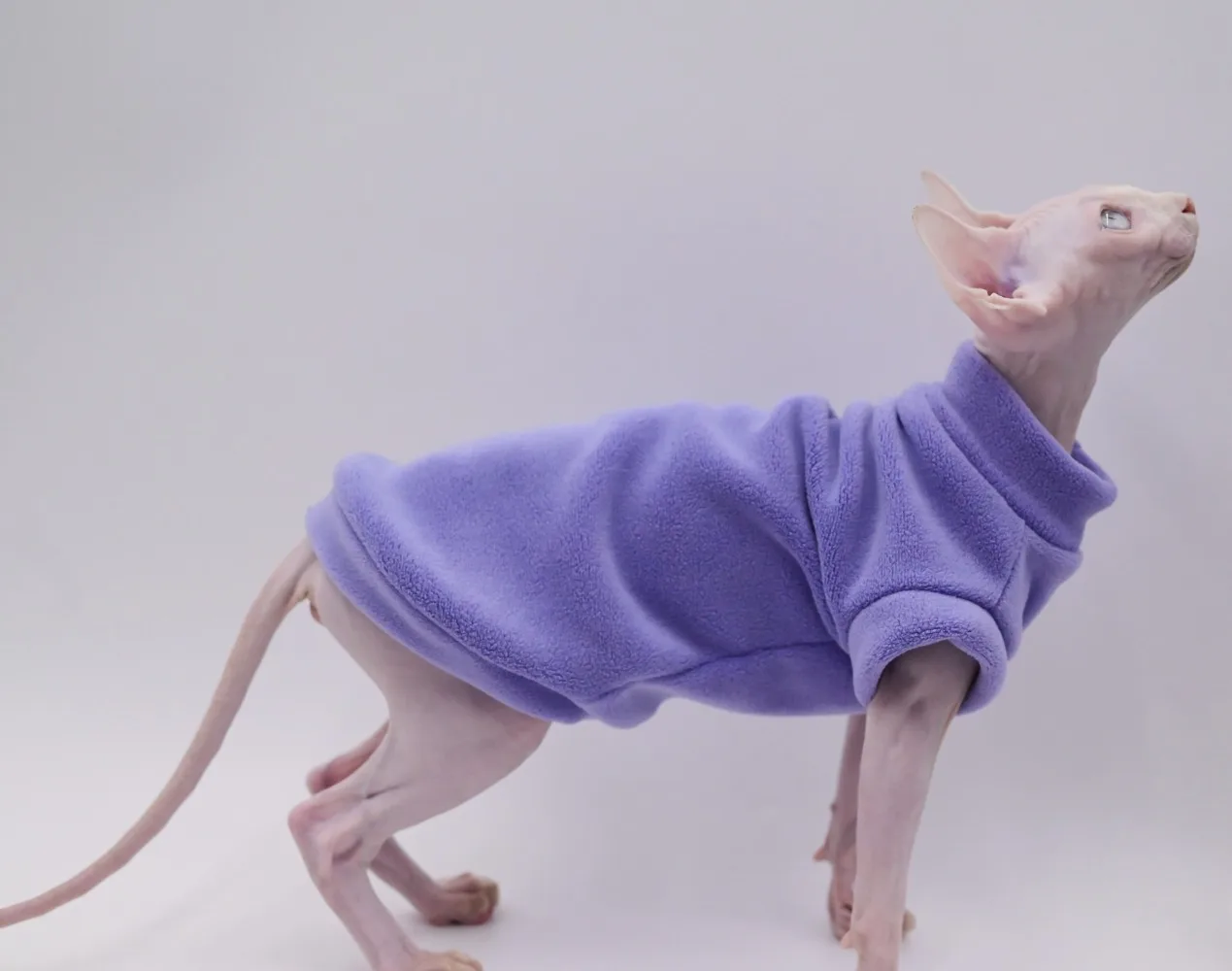 DUOMASUMI Hairless Cat Clothes, Sphinx Cat Outfits, Devon KONIS Pet Warm Winter Clothes, Thick Kitty Sweater for Cat Hoodie