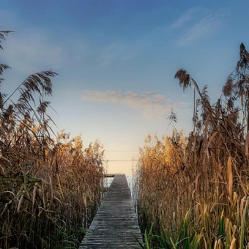 

Металлический корпус коробки передач IF408 для Kyosho INFERNO MP9 MP10 MP10E 1/8, детали для обновления радиоуправляемого автомобиля, аксессуары