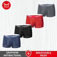 MiiOW 4Pcs Sexy Men Underwear Summer Mesh Breathable Underpants Ice Silk Men's Panties Graphene Antibacterial Man Boxer Briefs