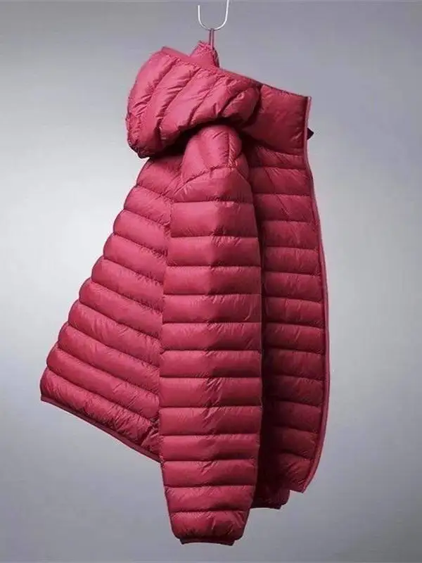 冬用暖かい綿ジャケット、フード付きスタンドカラー、ダウン代替アウターウェア、女性用ファション、レギュラー、薄手、非膨張性ナイロン