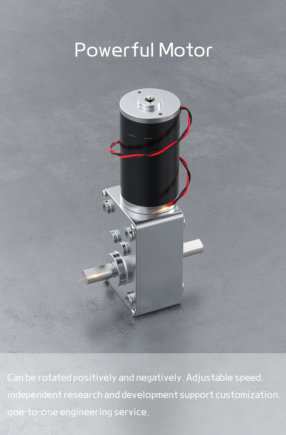 Bringsmart 5840-31zy DC 12V Getriebemotor mit Doppel-Kurzwelle, Umkehrgetriebe, Vollmetallgetriebe, 12-470 U/min Drehzahlmotor 24V Br – Detail 12