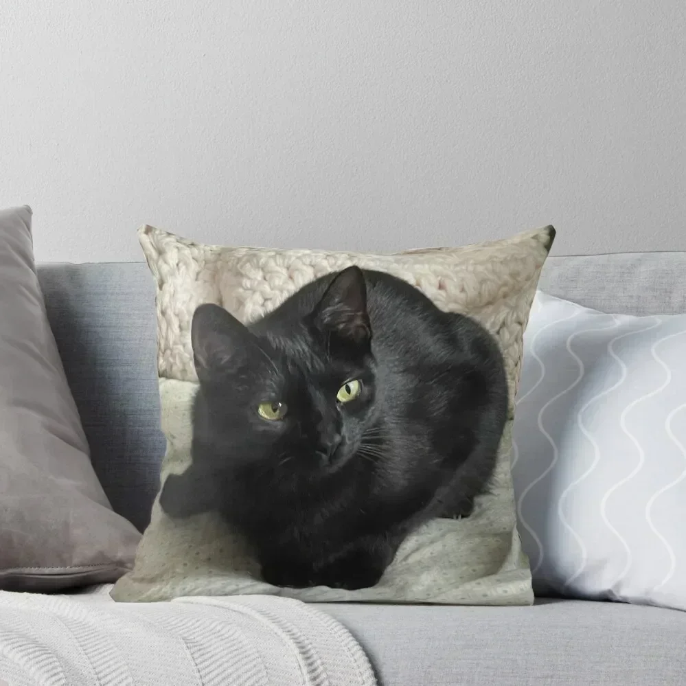

Black cat Binx Throw Pillow luxury covers pillowcases for sofa cushions Sofa Cushion Cover Cushions For Decorative Sofa pillow