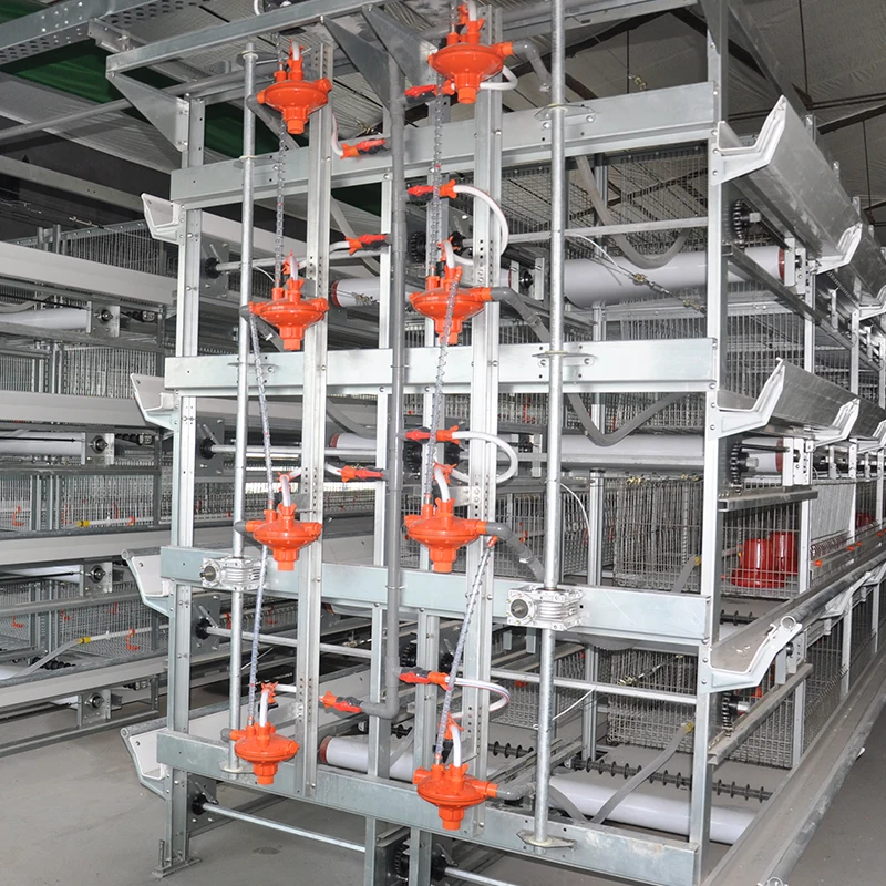 

Новые полностью автоматические клетки для бройлеров и несушек типа H и A с горячим цинкованием и высокой производительностью для птицефабрик