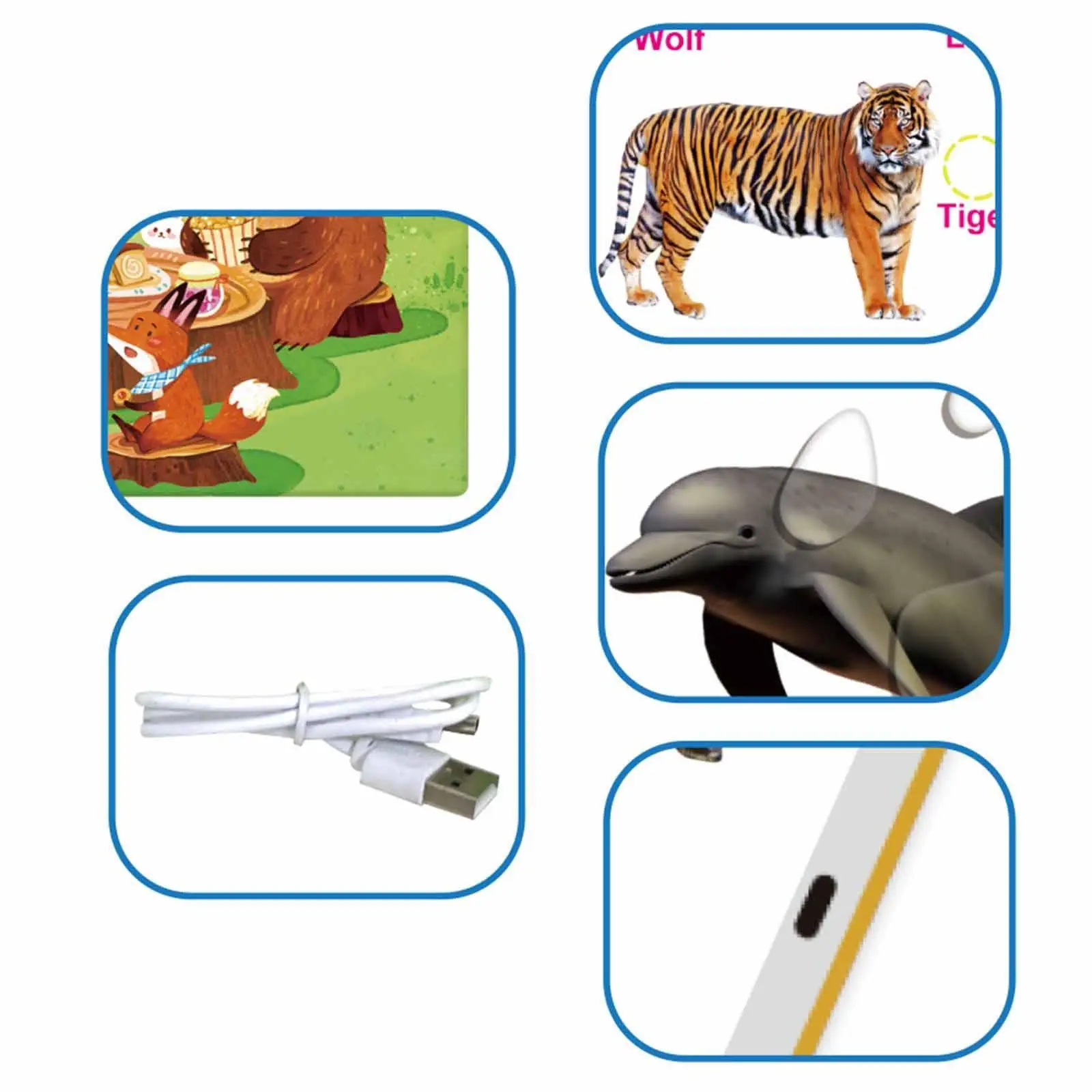 Primeiras palavras em inglês Livro de som Vocabulário Estudo para aprender cores de animais