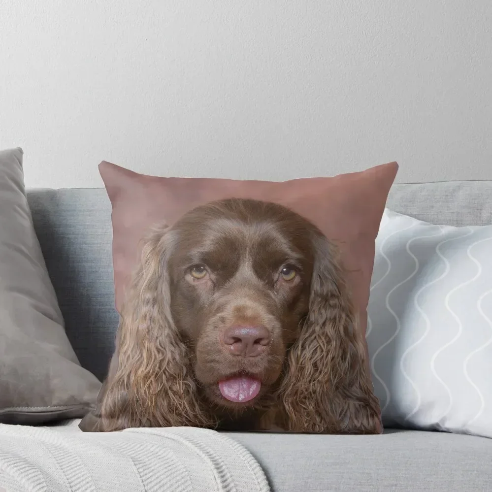 

Sussex Spaniel Throw Pillow Decorative pillowcase Rectangular Cushion Cover Christmas Pillows Sitting Cushion pillow