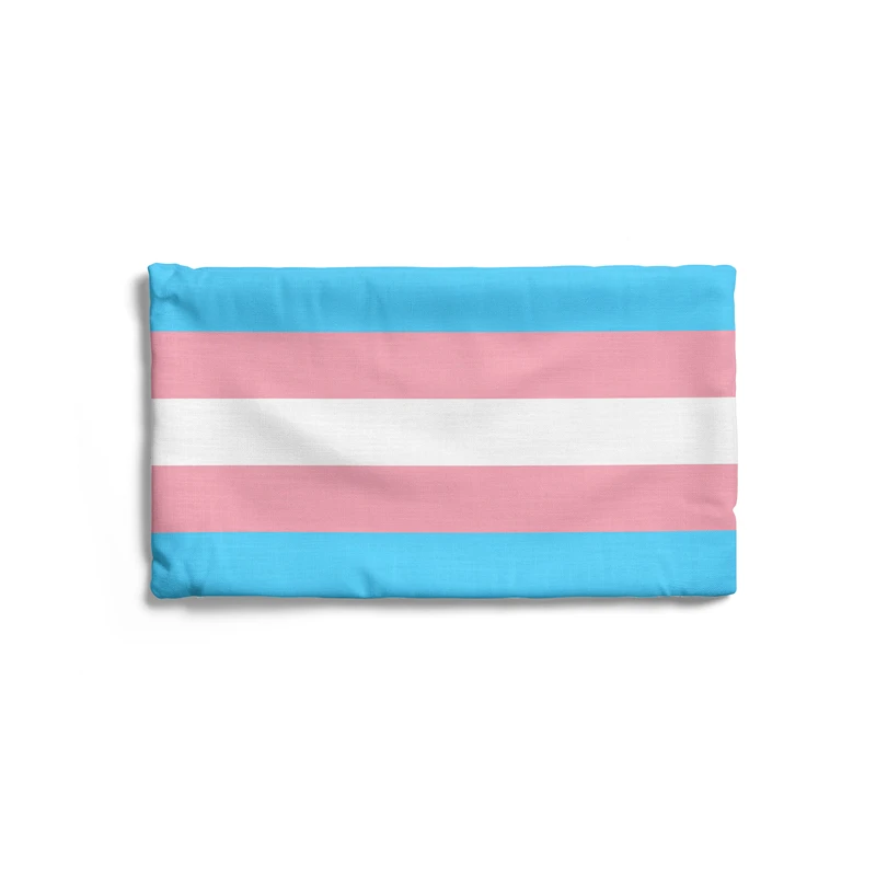 Aertemisi 20'' x 12'' Transgender Pride Flag Rainbow LGBT Rectangular Throw Pillow Cushion Covers Cases Pillowcases 50cm x 30cm