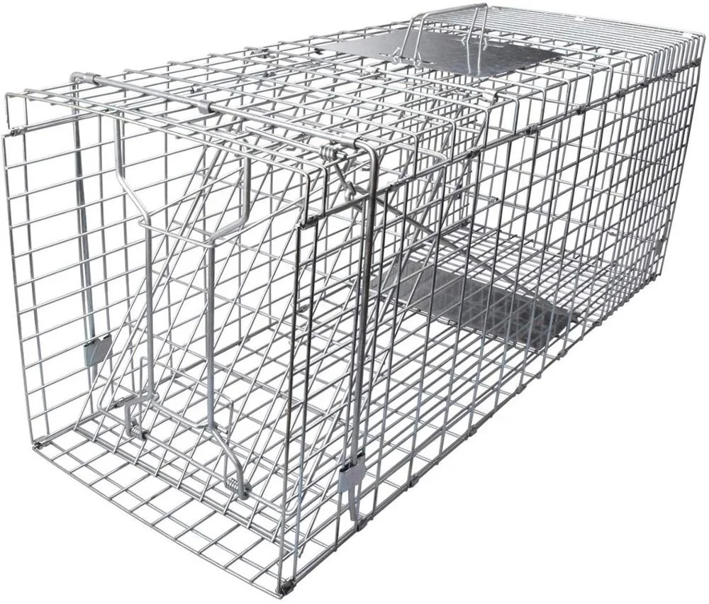 Hot Sale Live Cat Rabbit Cage Traps Cage for Squirrels Foxes Raccoons Pigs Dogs