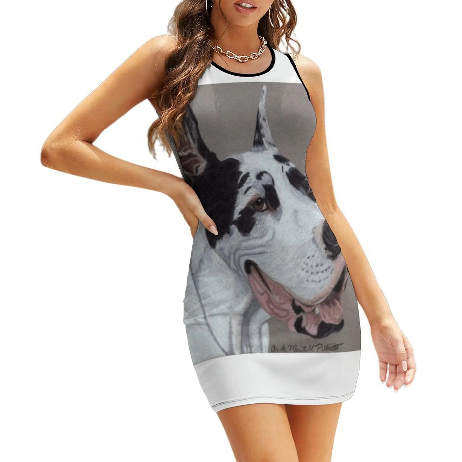 

Harlequin Great Dane Vignette Sleeveless Sundress Women dresses summer evening dresses women summer outfits for women 2025