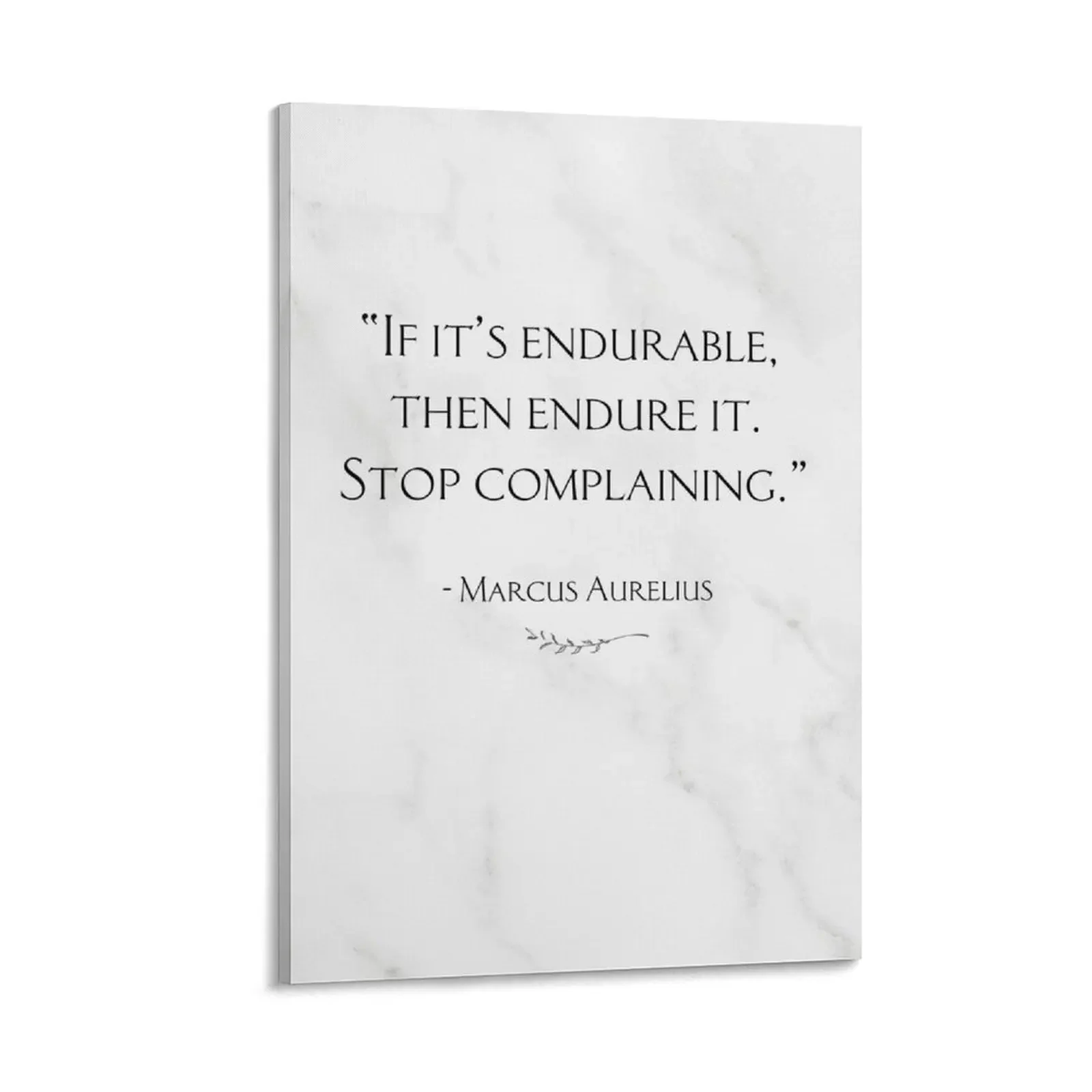 Endure & Stop Complaining Stoic Marcus Aurelius Stoicism Quote Canvas Painting room decorations