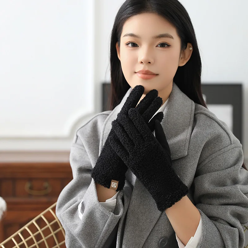 New Polar Fleece Winter Gloves Warm Touchable Screen Driving Mittens Windproof Coldproof Full Finger Gloves Autumn and Winter