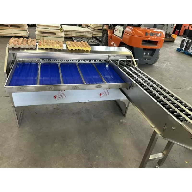 Aangepaste sorteerstandaarden Roestvrij staal Eier sorteermachine Systeem Eiersorteerapparatuur Eierclassificator Apparaatmachine