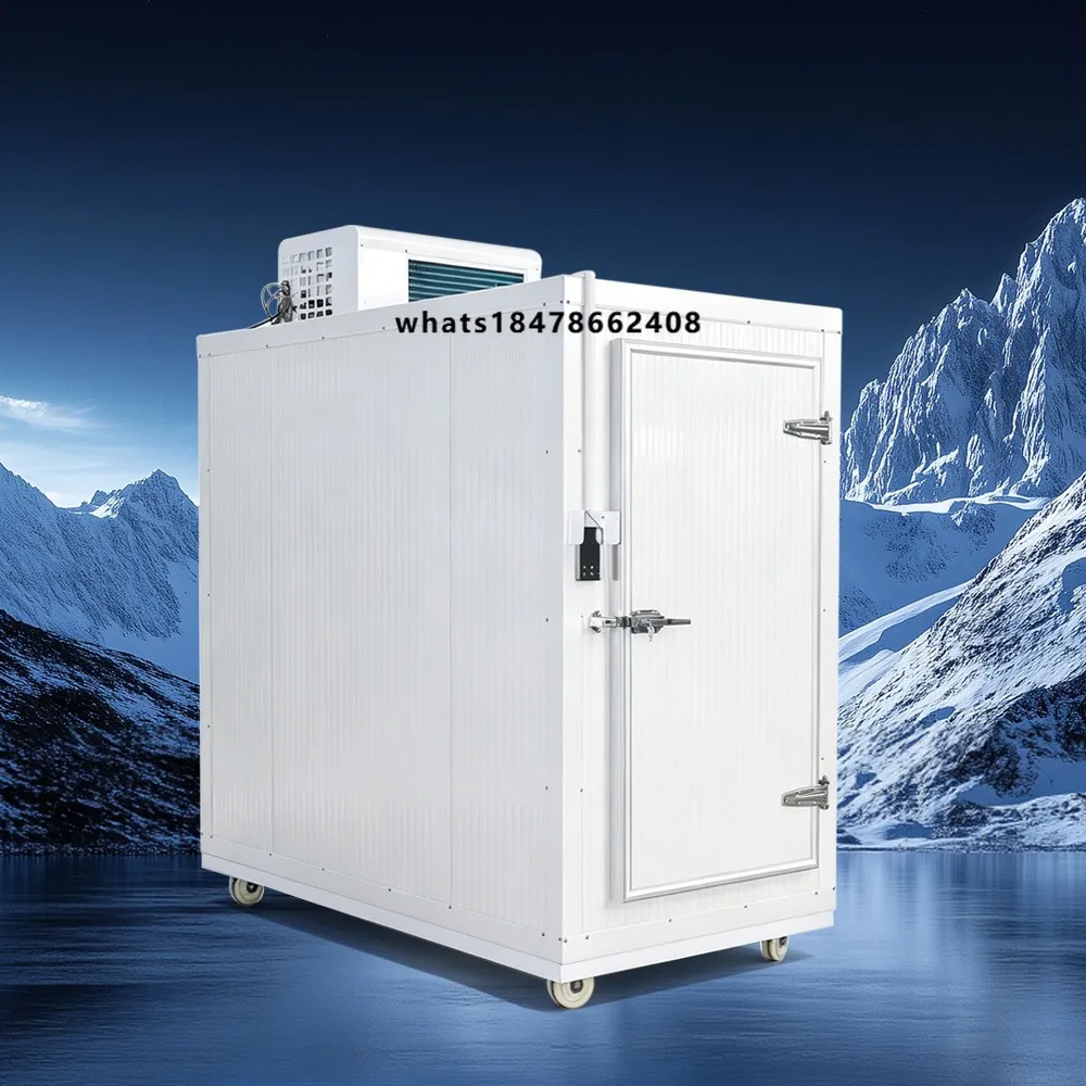 Small Cold Room Walk in Industrial Refrigeration Equipment Copeland Unit for Omasum Beef Tripe Meat Seafood