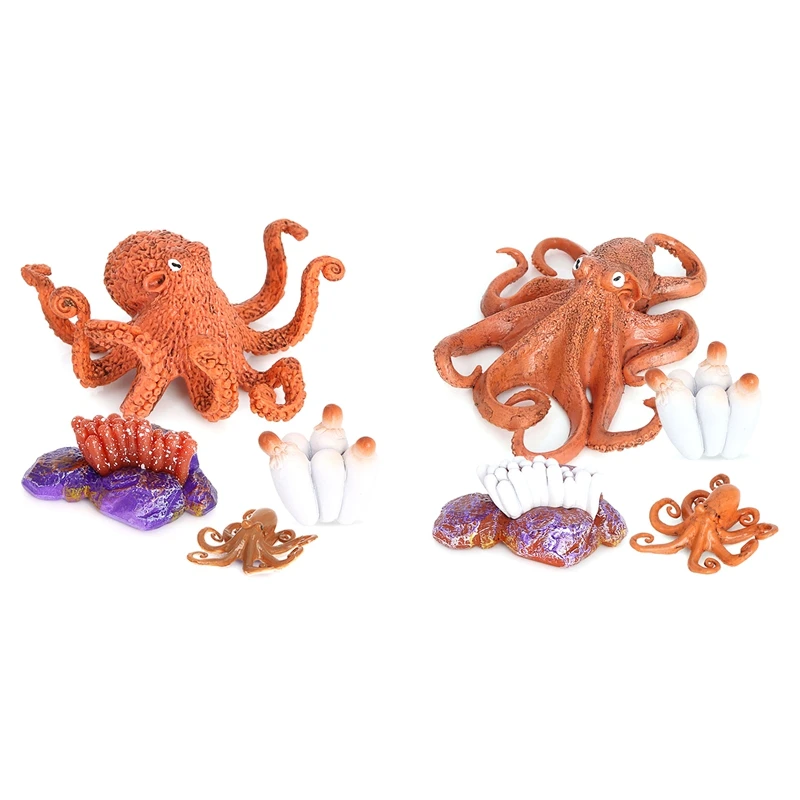 Octopus Growth Cycle,Animal Growth Cycle Biological Model For Kids Education Insect Themed Party Favors