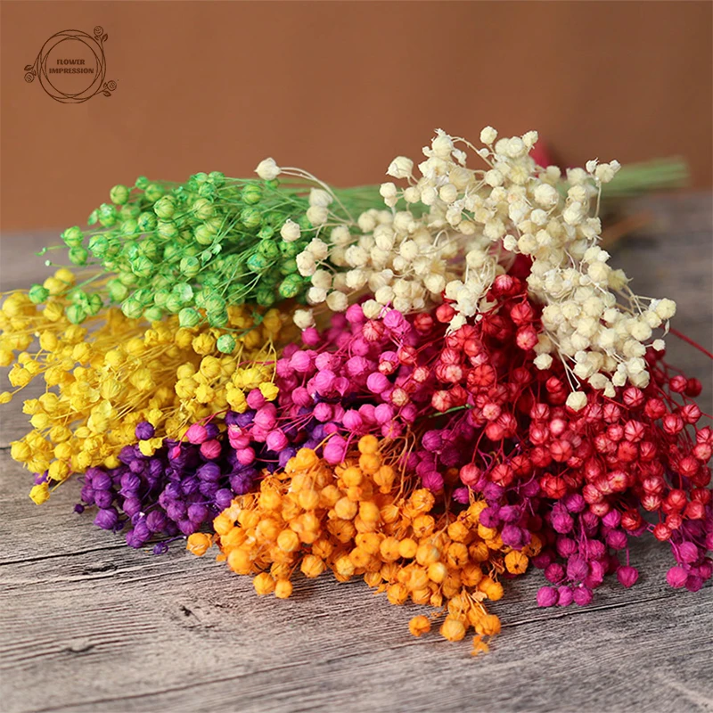 20/40g Natural Dried Flowers Acacia Beans Bouquet Boho Home Decor Garden Wedding Hotel Table Decor Accessories Artificial Plants