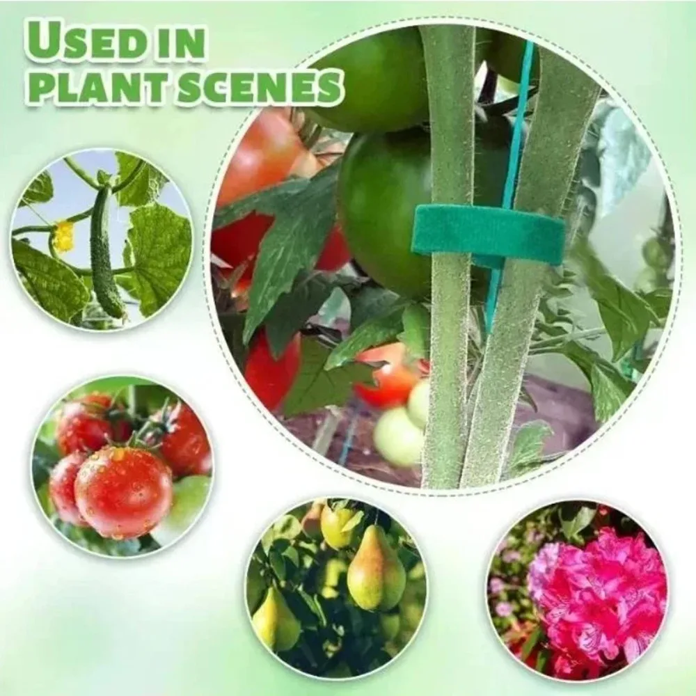 Nylon Plant Stretch Width 12mm Vine Fixing Strap Adjustable Green Fastener Tape Bamboo Rattan Wrap Support Garden Accessories