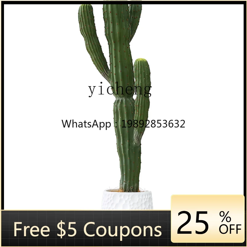Zf Plant Moroccan Cactus Potted Cactus Column Bonsai Floor Decoration Ornaments