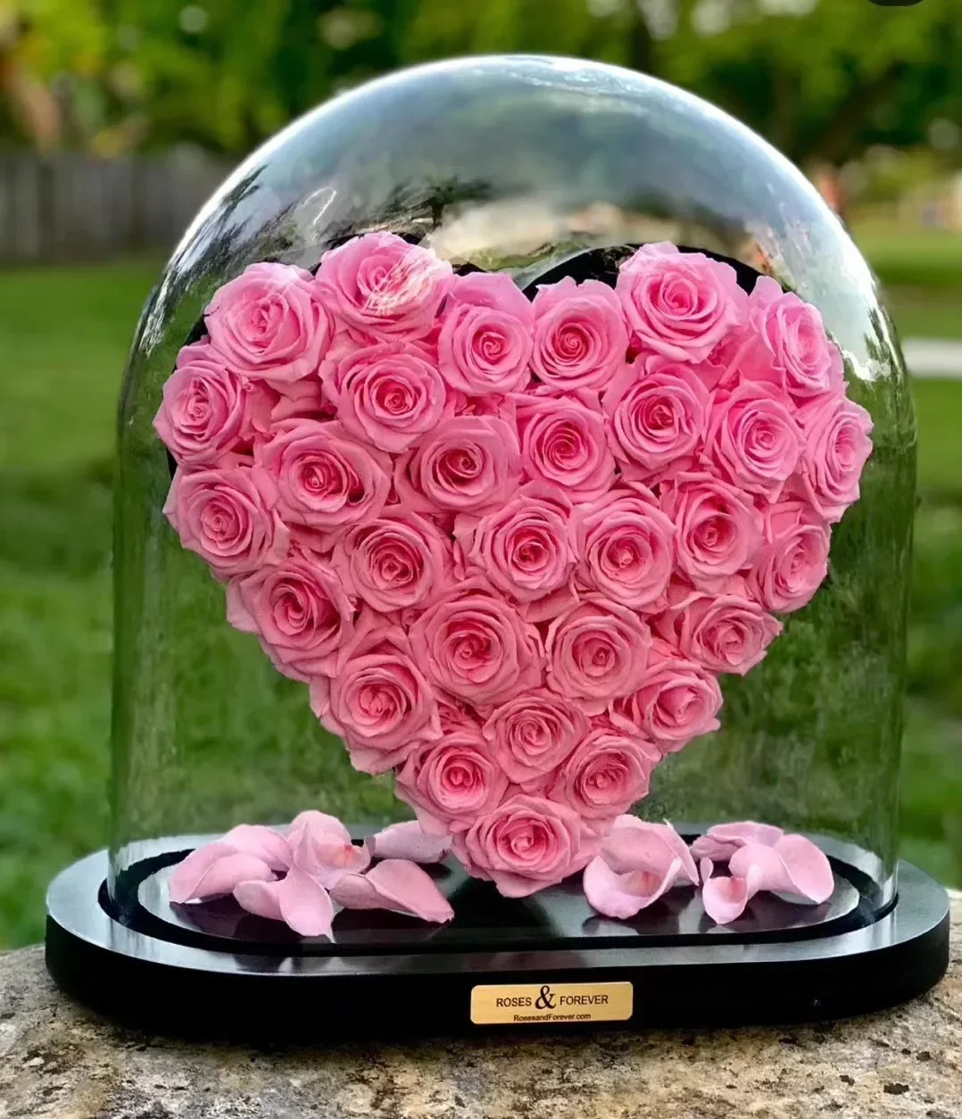 Eternal Roses in Large Glass Dome, Heart Shape, Christmas Day, Valentine's Day, Confession, Wife, Mother's Day Gift