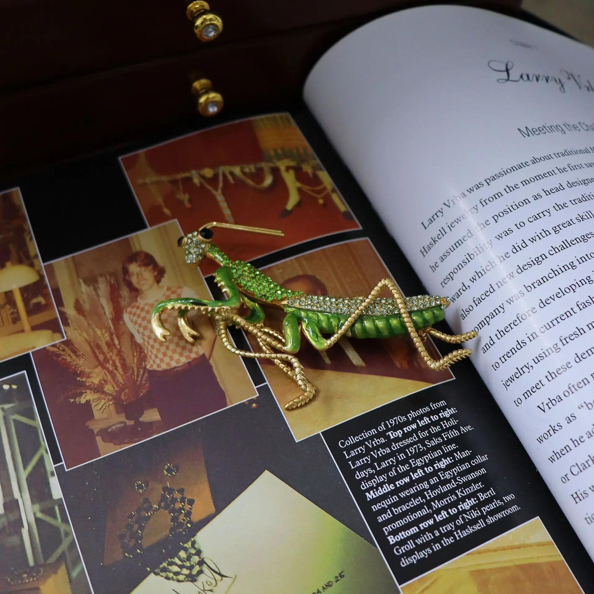 Vintage exquisite mantis brooch