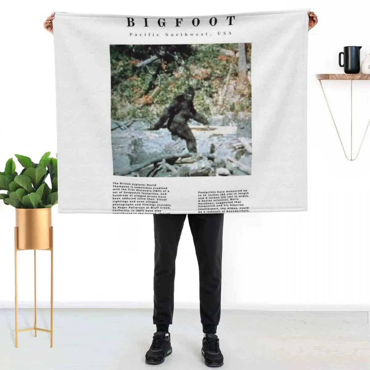 Minimalist Cryptids: Bigfoot Throw Blanket Shaggy Large Sofas Luxury St Sofa Quilt Cute Blankets