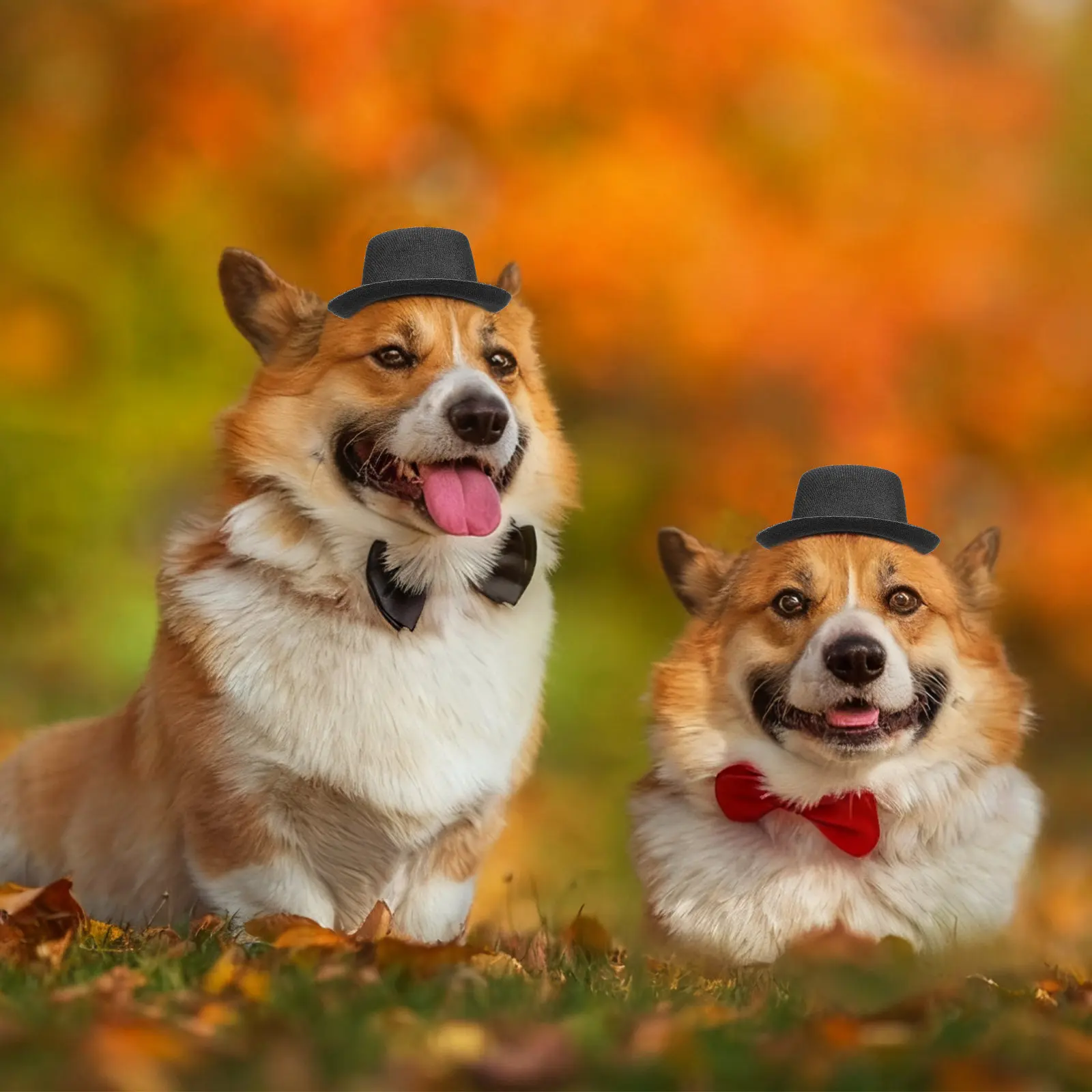 6pcs Mini Cowboy Hat for Dogs Cats Tiny Pet Hats Party Decorations Small Costume Accessories Creative Dress Up Props Festival
