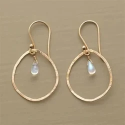 Dazzling Round Geometry Imitation Pearl Earrings for Women Gold Color Party Dangle Earrings Jewelry