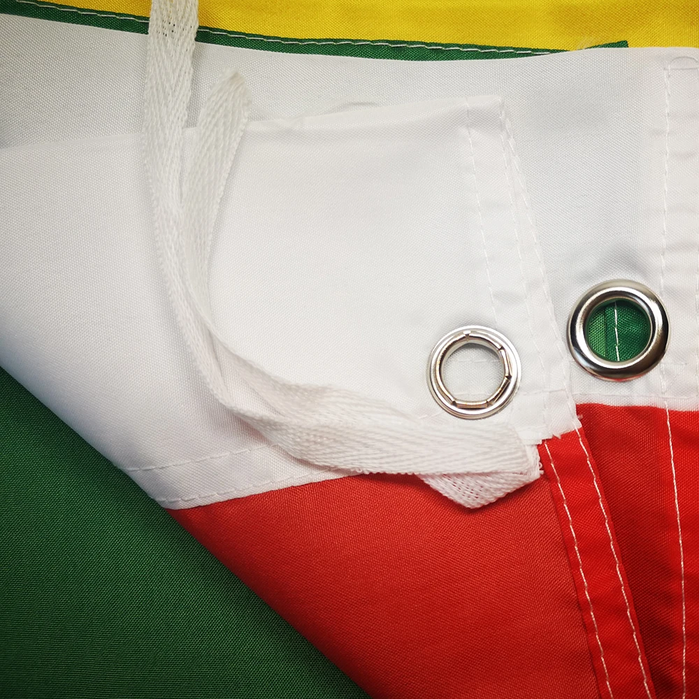 Guinea Africa National Flag All Over The World Printed Flag Polyester Shaft Cover Brass Grommets Design Outdoor Advertising