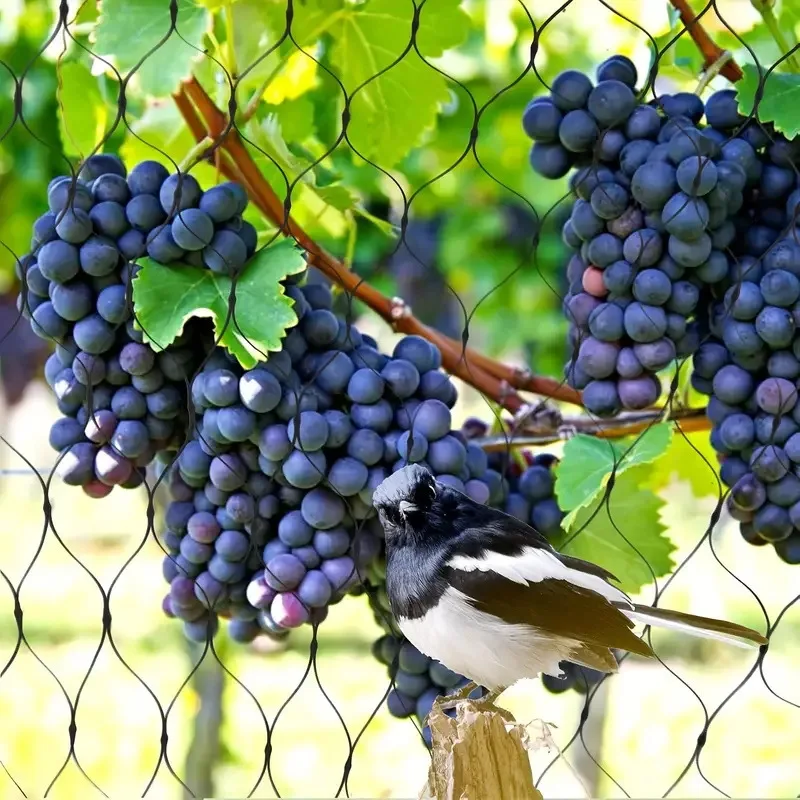 protection, orchard insect protection grape protection net, fish pond sky net breeding cover, poultry net breeding protection