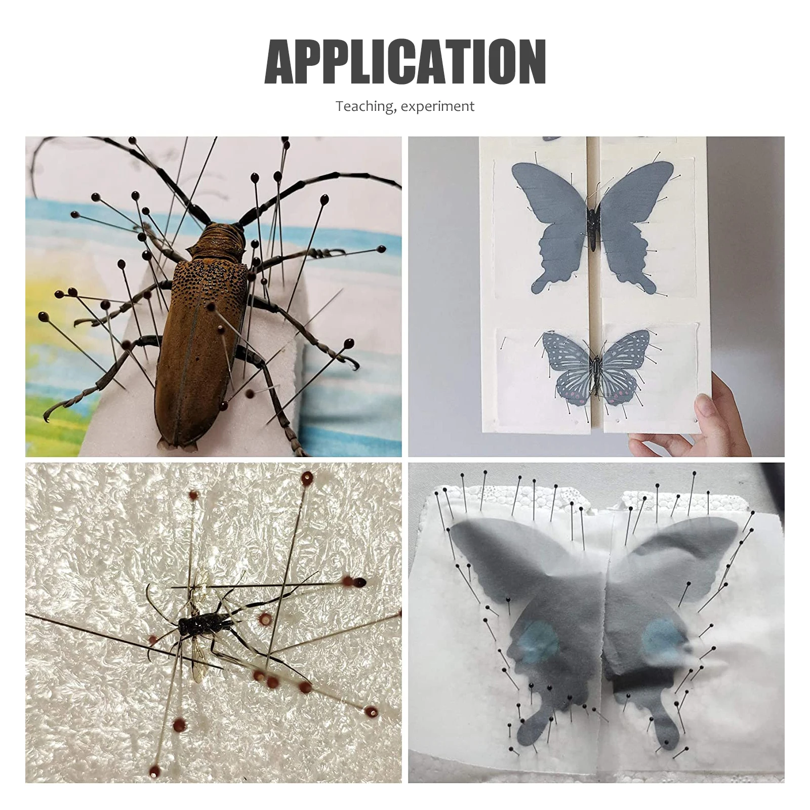 

100pcs Stainless Steel Insect 40Mm Mounting Display Rust Resistant Long Term Use Specimen For Collectors Entomology